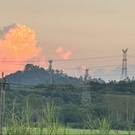 心有猛猫哈哈哈