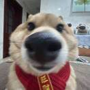 小杨不内耗