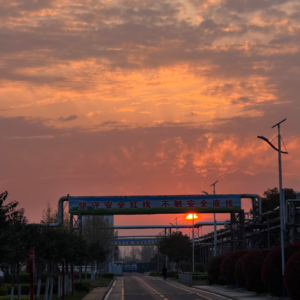 Vol.103 为什么越优秀的人，越难谈好恋爱？｜哈佛女强人、基金总监背后的情感困境