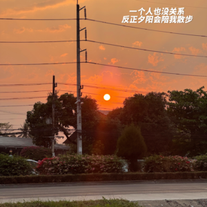 11:清迈旅居｜去感受去拥有充满幸福感的生活