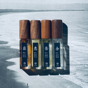 E222 慈悲喜舍:导向幸福的种子