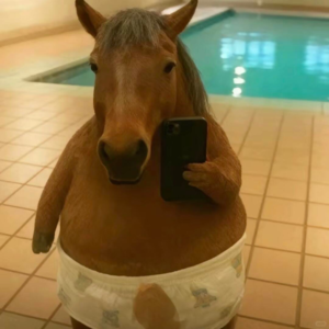 vol.07 翻篇2025！爱你老己 2026金山银山 吃好喝好！