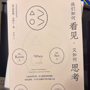 《我们如何看见，又如何思考》 06 感觉信号进入脑