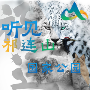 Vol. 68 听见——祁连山国家公园