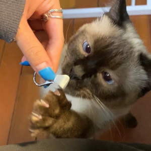 ep05. 20s diary|双鱼座INFP日常中的情感过山车