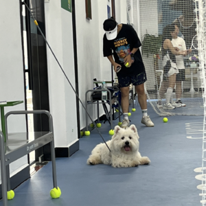 日常 | 就是吃到时代黑利了怎么办