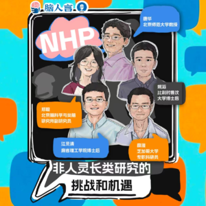 EP5. 非人灵长类研究的挑战与机遇