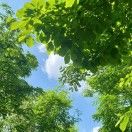 小水睡个好觉吧