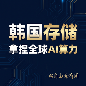 vol 34:韩国存储凭什么拿捏全球AI算力?精准卡位/举国押注/财阀体制