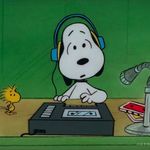 北极没有沙发吃