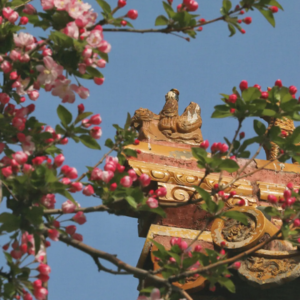 三百六十行 vol.38：蓝信封文字工作者访谈录丨彭爽：感恩生活中的每一份美好