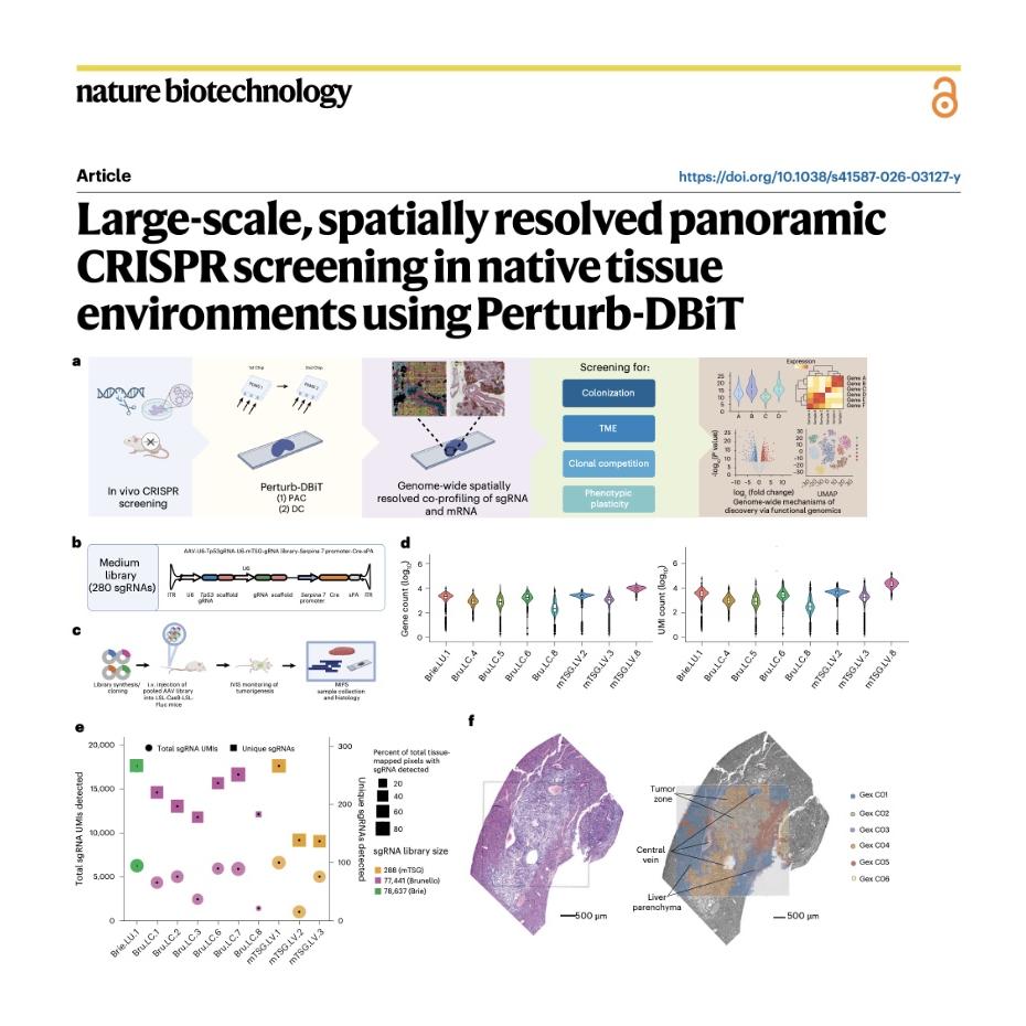 1194-Perturb-DBiT: CRISPR Screening in Native Tissue episode artwork