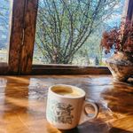 爱喝奶茶的Molly姐姐