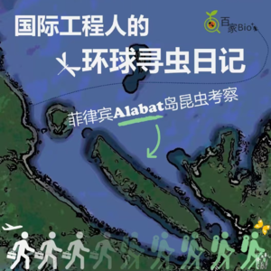 国际工程人的环球寻虫日记-《追随昆虫》线上读书会4/4