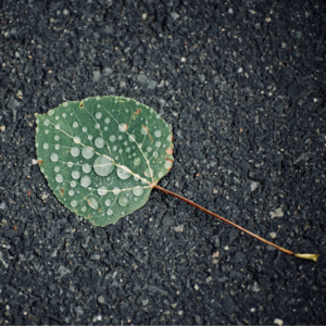 播客是我们的《凡人歌》：职业转换中重寻坐标