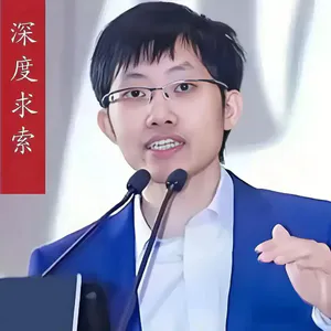 第377集 田丰对话澎湃新闻：DeepSeek V4延期发布的真相
