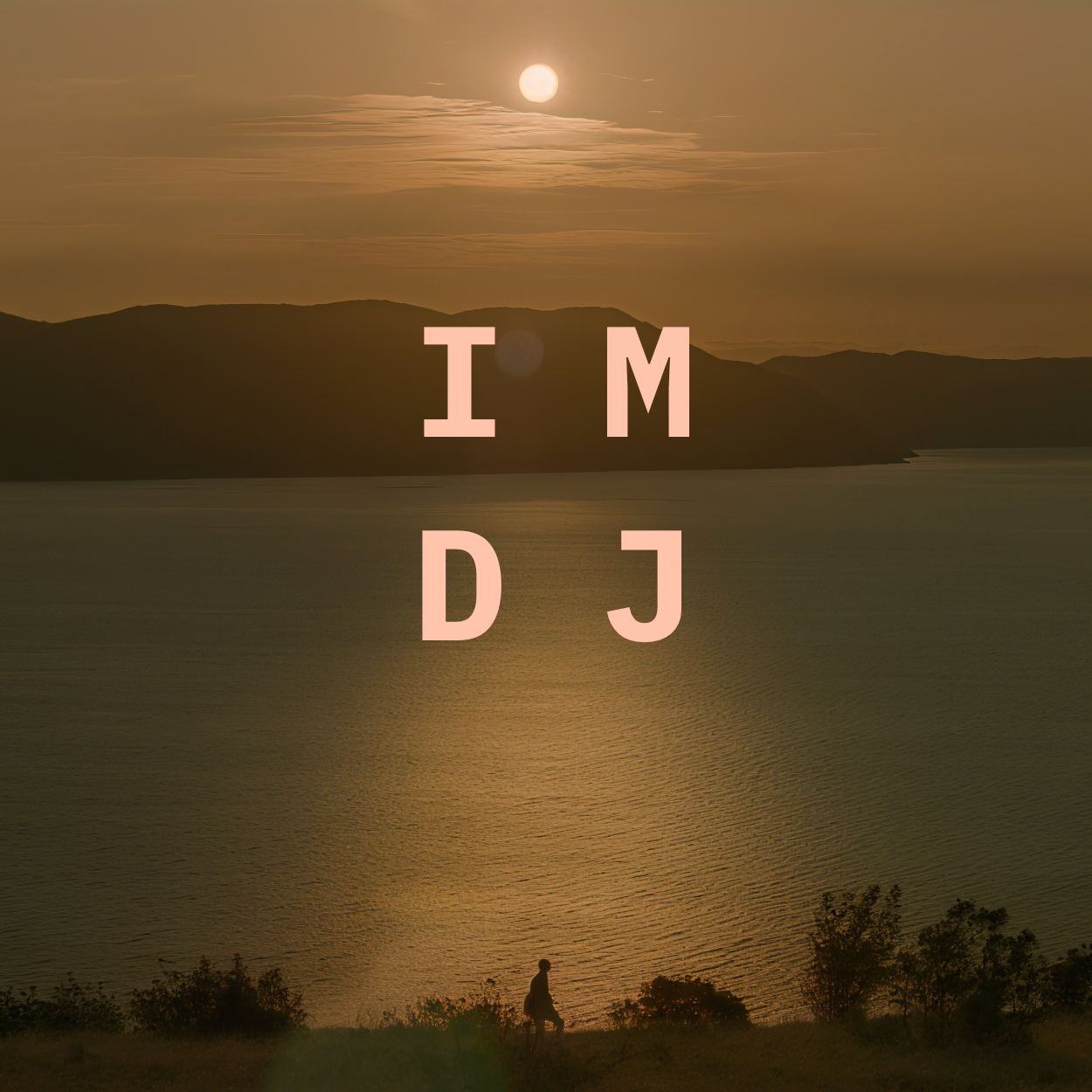 新博客 IMDJ E2509,音乐日记,追鹰