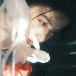 简禾