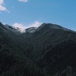 Lu噜lu