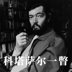 4.科塔萨尔一瞥