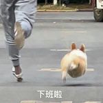 明明不想想