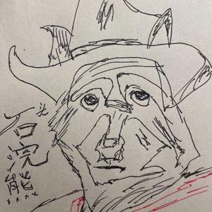 石头浣熊 rocky racoon