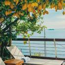 惧怕闪电的皮卡丘