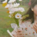 HD1024237r
