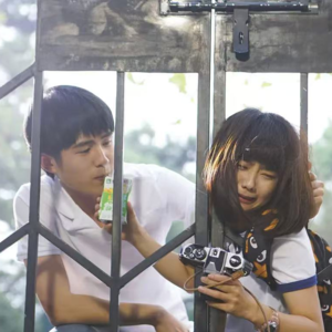 国产爱情：爱情剧里的烟火真相