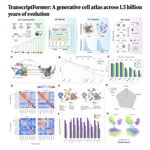 1059-TranscriptFormer: Atlas Across Evolutionary History