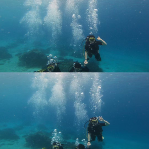 Vol.7 年末总结:正直勇敢有探索欲,充满变化和生命力的2024