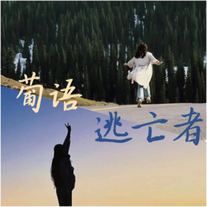 04.葡语逃亡者（下）孔子学院的经历&新疆文旅编辑工作