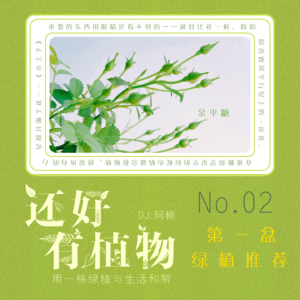 Vol.02新手花友的第一盆绿植推荐