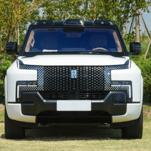 从孤儿到全球车王！王传福用300万逆袭，把比亚迪干成特斯拉都怕的中国狠角色