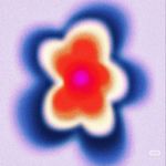 今天练琴没带脑