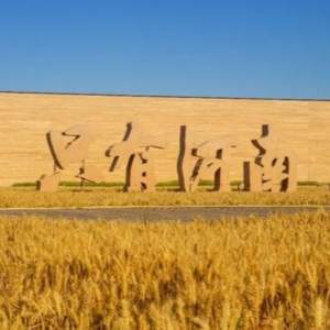 vol.21 两个河南人的返乡对话：从《只有河南》聊起