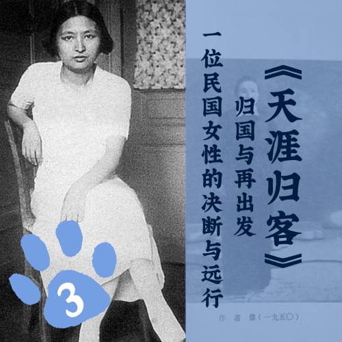 「八」《天涯归客》：归国与再出发——一位民国女性的决断与远行 episode artwork