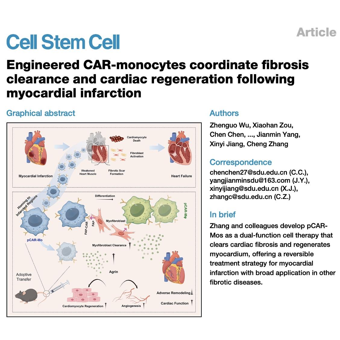1051-CAR-Monocytes for Cardiac Fibrosis Clearance episode artwork
