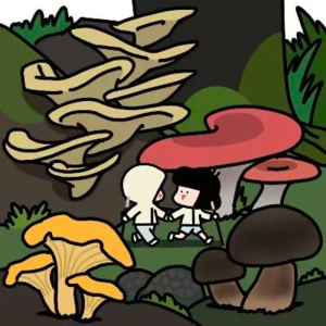 255-进山采菌子如何帮我反思预制菜？