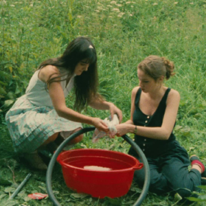 034.时光之镜：《双姝奇缘》缘分的奇妙。