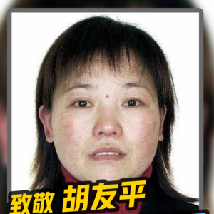 日本驻华大使馆为何为一位中国女英雄降半旗默？哀。