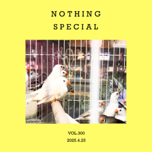 vol.300：这是一个不特别电台，这是一期不特别节目～