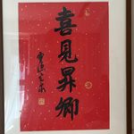 乐淘淘2508