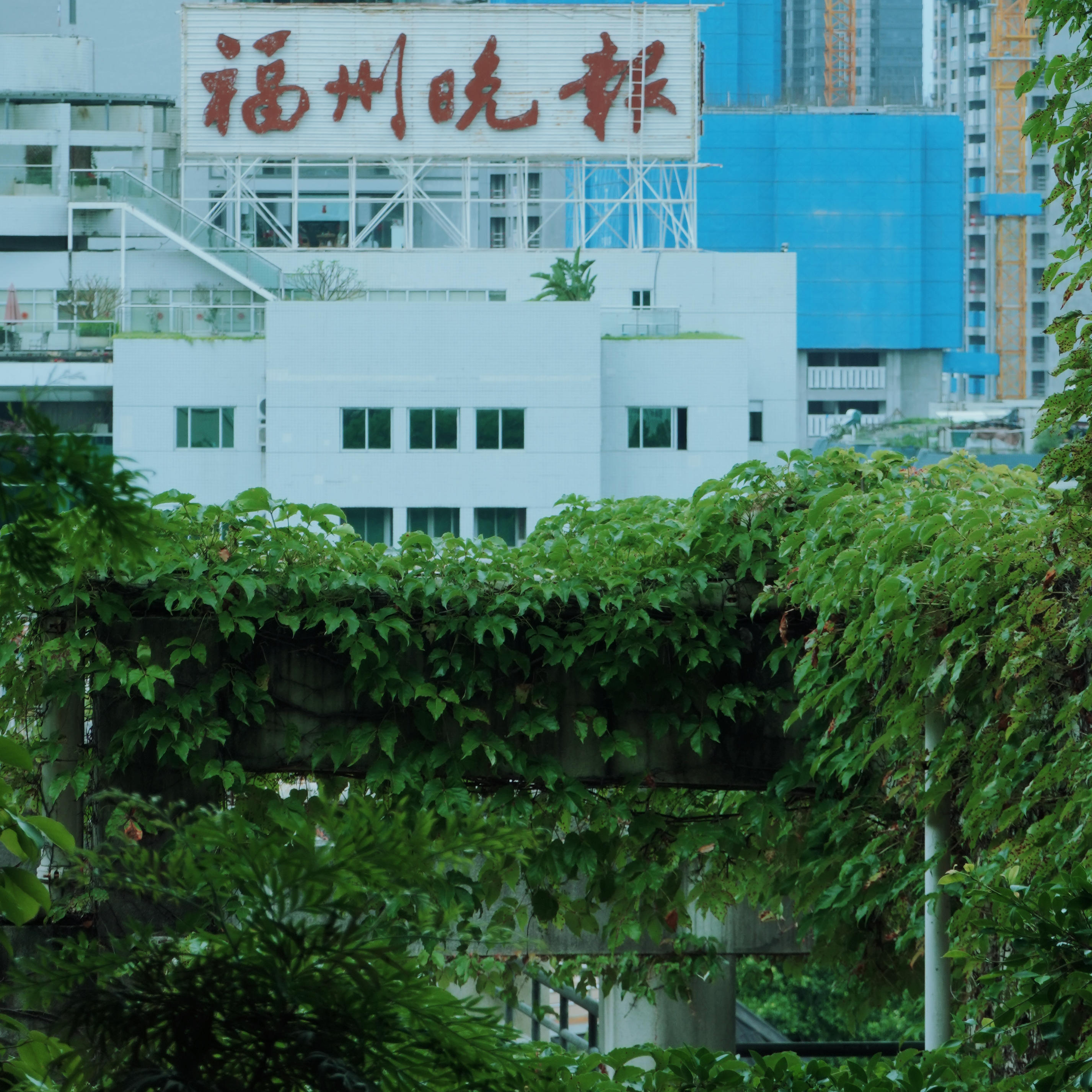 榕城漫步 搅乱半推半就的生活 episode artwork