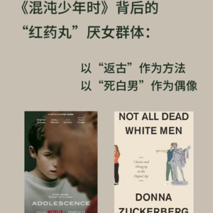《混沌少年时》背后的“红药丸”群体：以“返古”作为方法，以“死白男”作为偶像