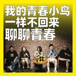 252.我的青春小鸟一样不回来：聊聊青春
