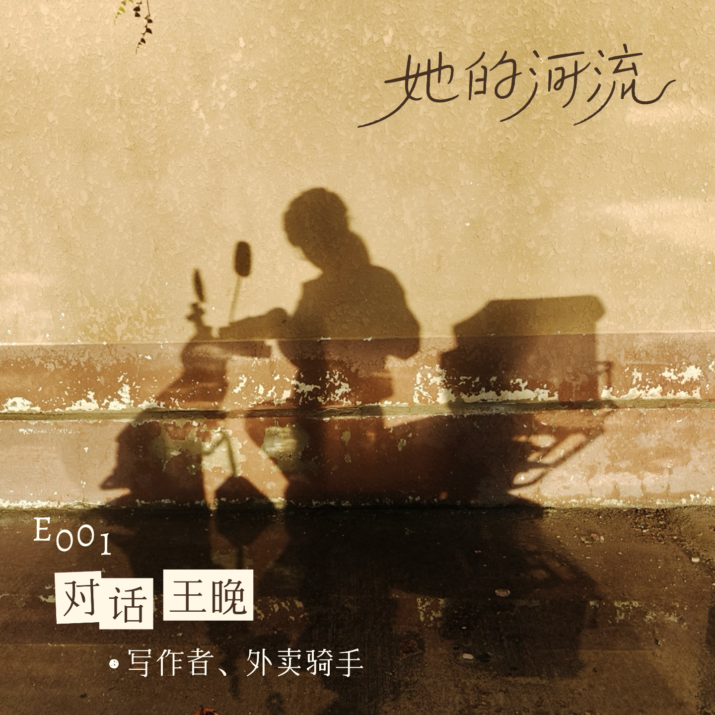 E001 对话王晚：月入1.2w，一位外卖女骑手的野心。 episode artwork