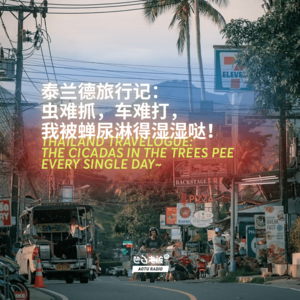 泰兰德旅行记：虫难抓，车难打，我被蝉尿淋得湿湿哒！