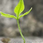 李同学在这里