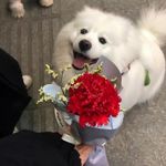 来一杯超大份幸运